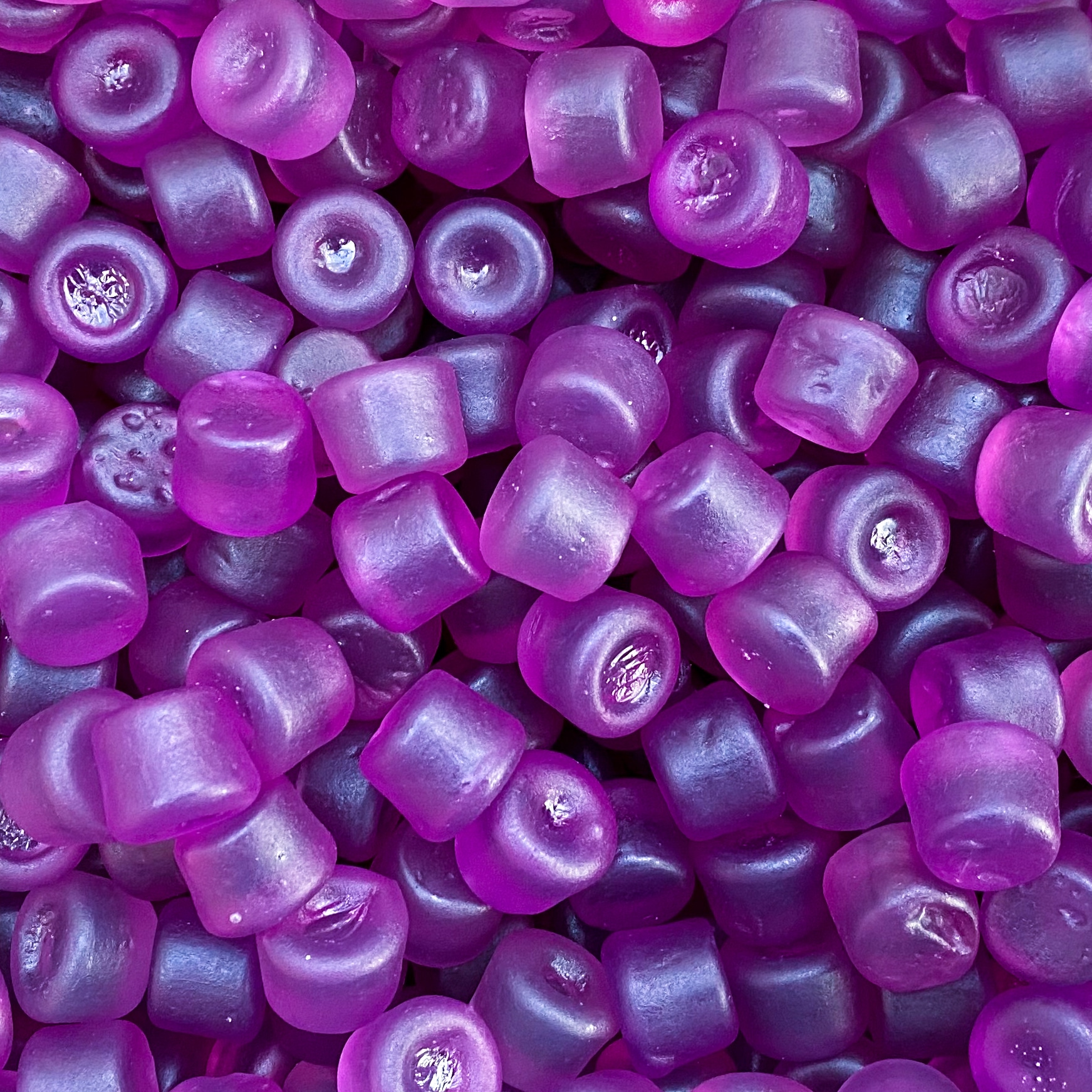 mini-violettes