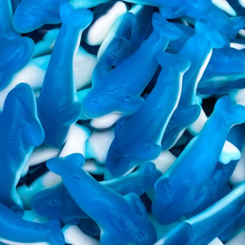 requins