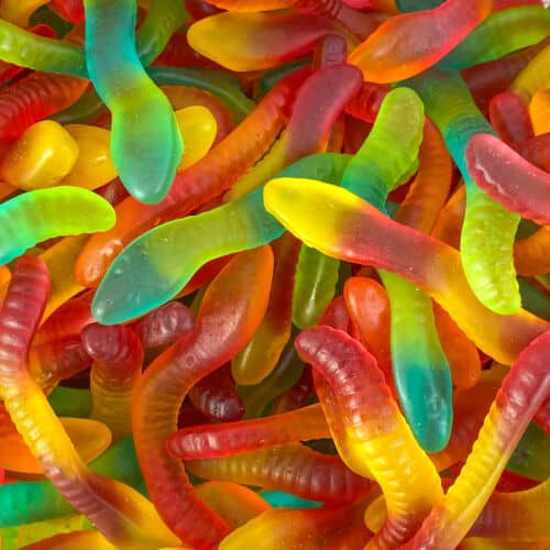 serpents