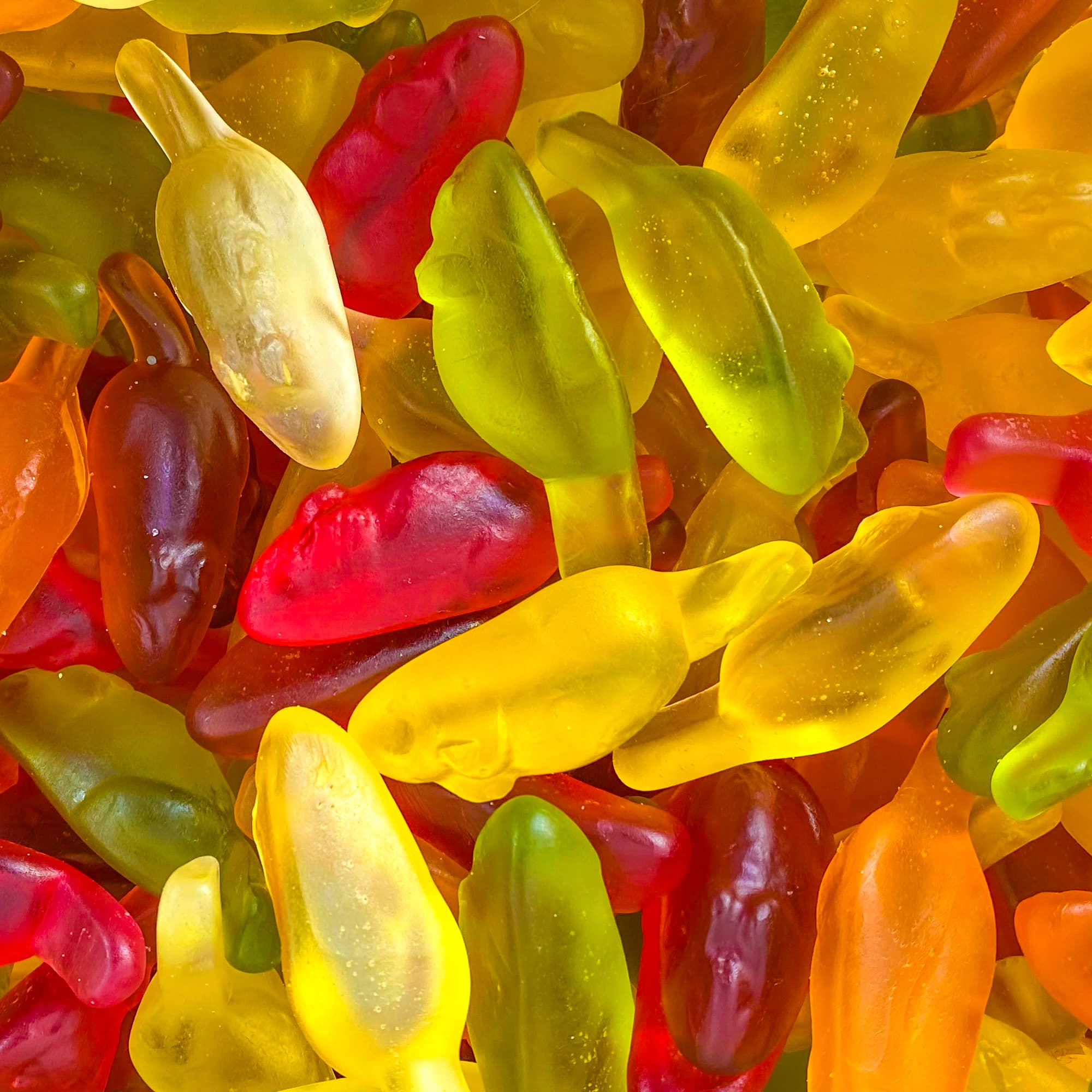 Souris colorées