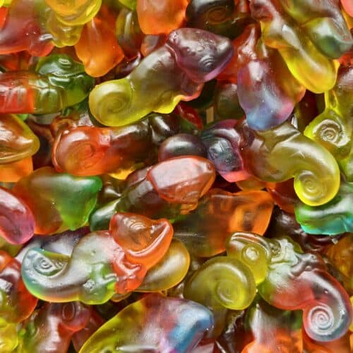 cameleons-haribo