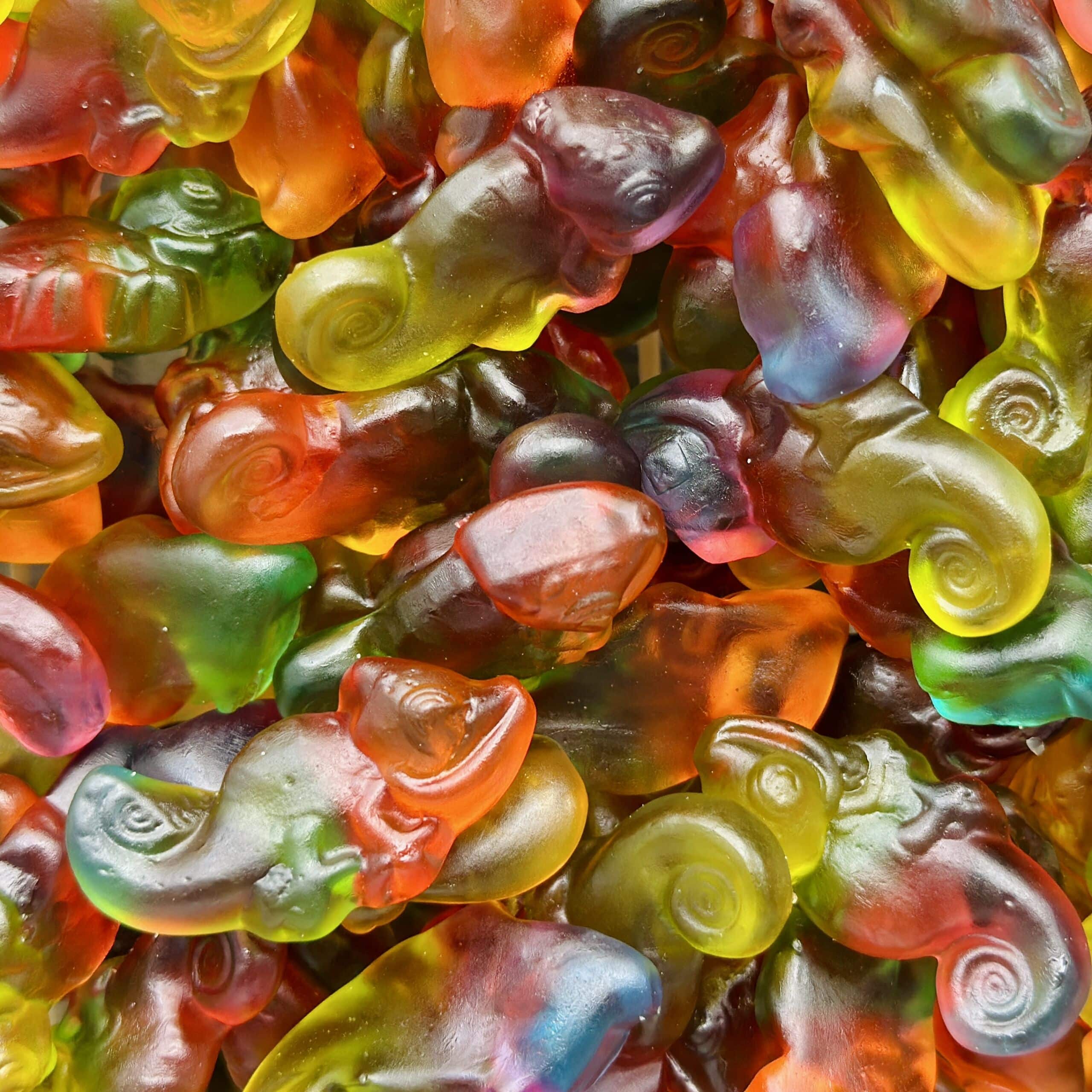 cameleons-haribo