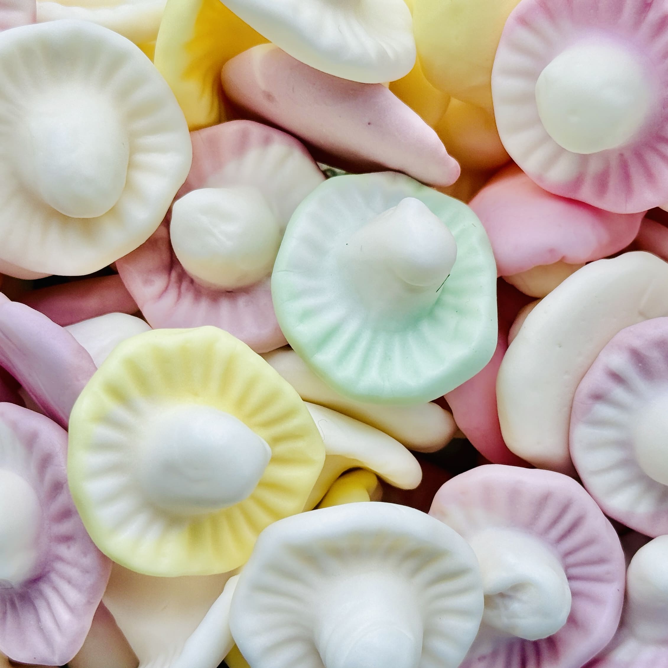 Champignons